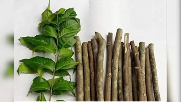 From neem to curd: Here are some home remedies to treat dandruff