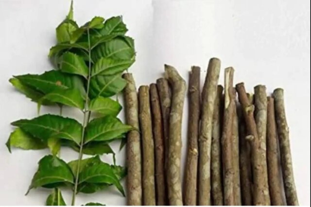 From neem to curd: Here are some home remedies to treat dandruff From neem to curd: Here are some home remedies to treat dandruff