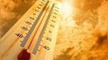 Delhi, Mumbai will be 5°C warmer in 2080-99 period, says Greenpeace India