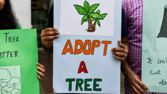 Explained: What is the ‘Tree City of the World’ tag that Mumbai, Hyderabad have been awarded? Explained: What is the ‘Tree City of the World’ tag that Mumbai, Hyderabad have been awarded?