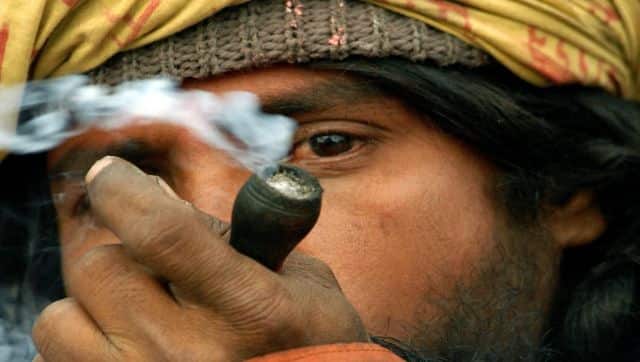 In India, cannabis finds mention even in religion. According to reports, the earliest mention of cannabis has been found in the Vedas. AFP