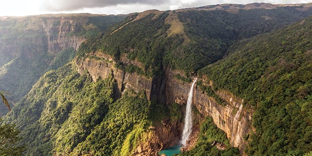 Root Bridge Assam Let’s Root for Living Root Bridges – Firstpost