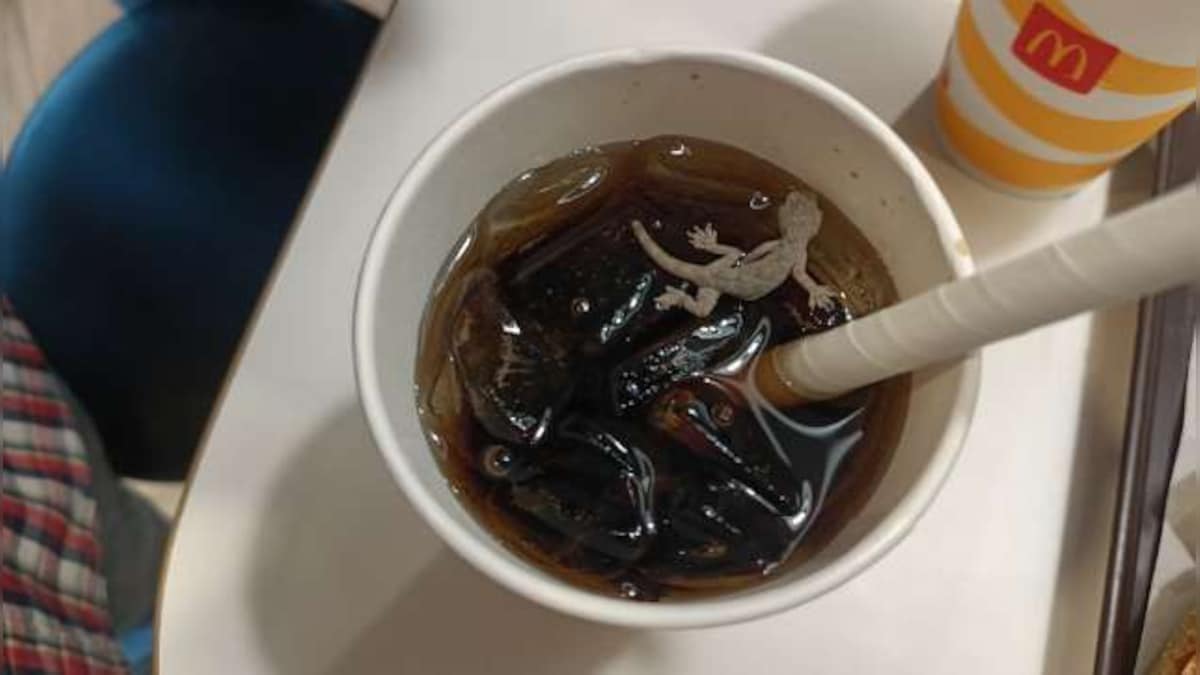 Watch: Man spots dead lizard floating in soft drink at Ahmedabad McDonald's; outlet sealed