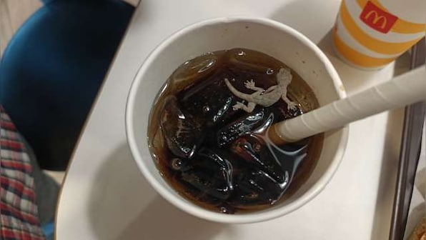 Watch: Man spots dead lizard floating in soft drink at Ahmedabad McDonald's; outlet sealed
