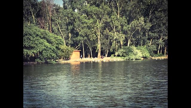 Municipal Corporation of Delhi to rejuvenate 20 ponds under first phase of Amrit Sarovar Mission Municipal Corporation of Delhi to rejuvenate 20 ponds under first phase of Amrit Sarovar Mission