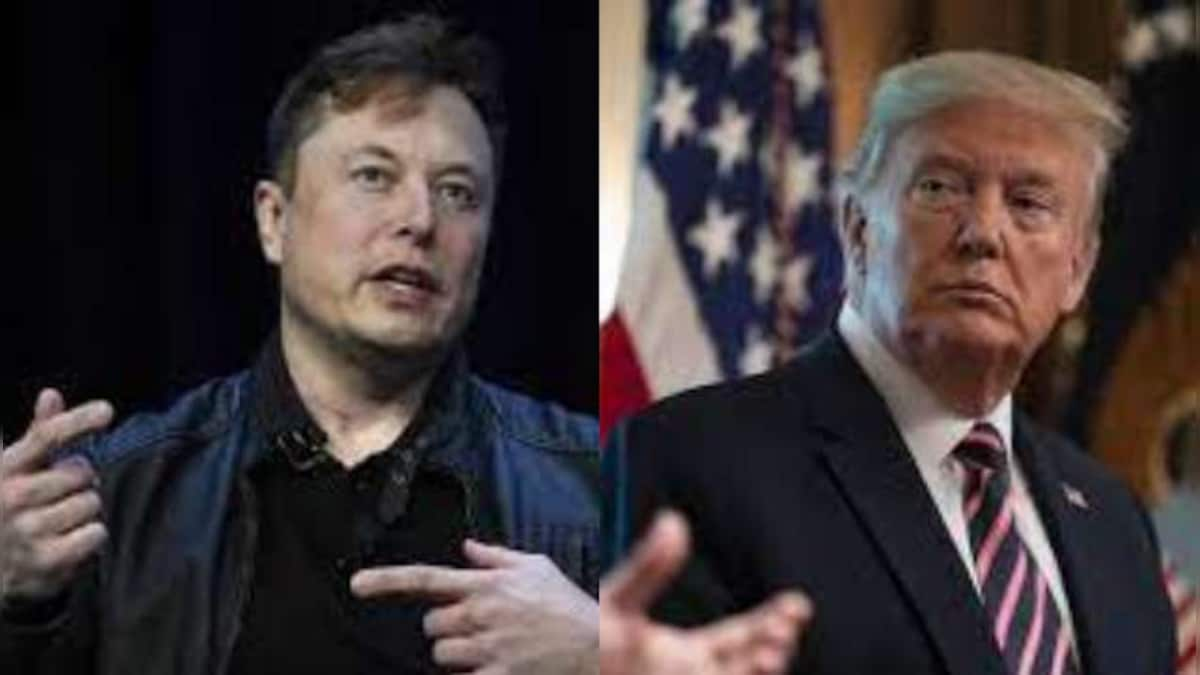 Elon Musk says he would reverse Donald Trump's permanent ban on Twitter if purchase of company goes through