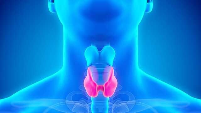 Thyroid: Symptoms, prevention and management of the disease