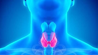 Thyroid disorders symptoms are manifold but diagnosis of dysfunction remains tricky task
