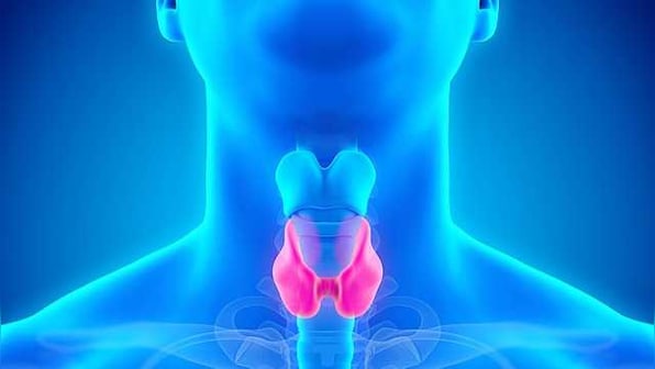 Thyroid disorders symptoms are manifold but diagnosis of dysfunction remains tricky task