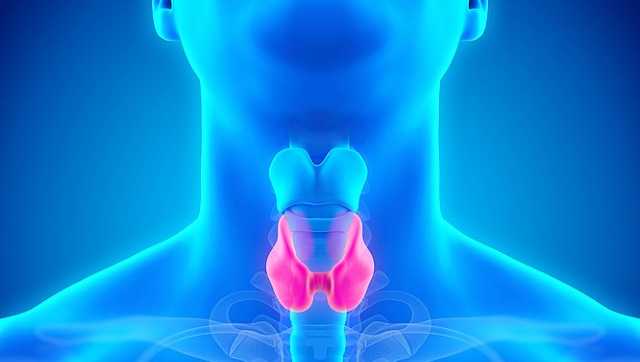 Thyroid disorders symptoms are manifold but diagnosis of dysfunction remains tricky task Thyroid disorders symptoms are manifold but diagnosis of dysfunction remains tricky task