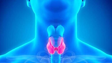 Thyroid disorders symptoms are manifold but diagnosis of dysfunction remains tricky task
