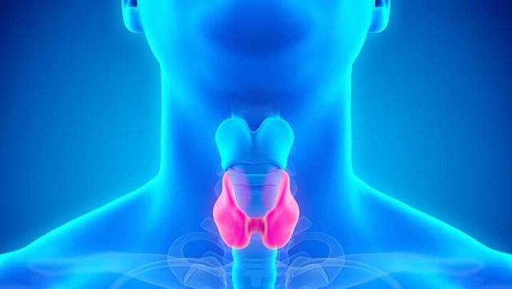 Thyroid disorders symptoms are manifold but diagnosis of dysfunction remains tricky task