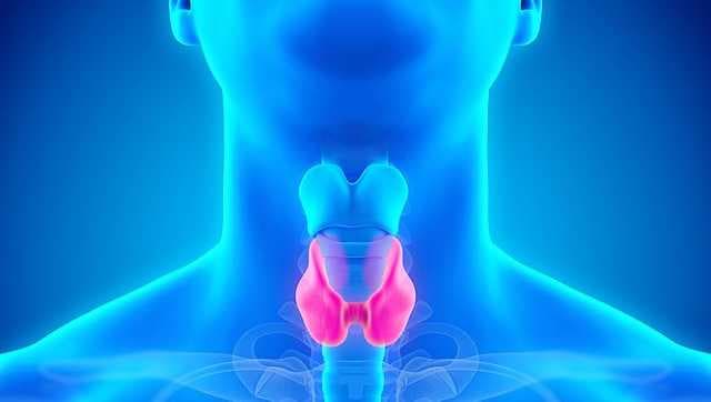 Thyroid disorders symptoms are manifold but diagnosis of dysfunction remains tricky task