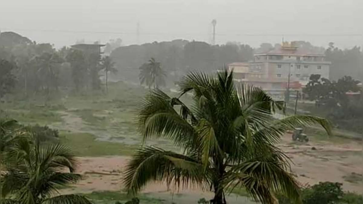 Weather Report As Imd Announces Onset Of Monsoon Over Nicobar Pre