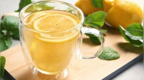 From ginger tea to pomegranates: Five home remedies to cure diarrhoea
