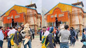 Uttarakhand: Noida man in soup as he takes dog to Kedarnath shrine; temple committee files FIR