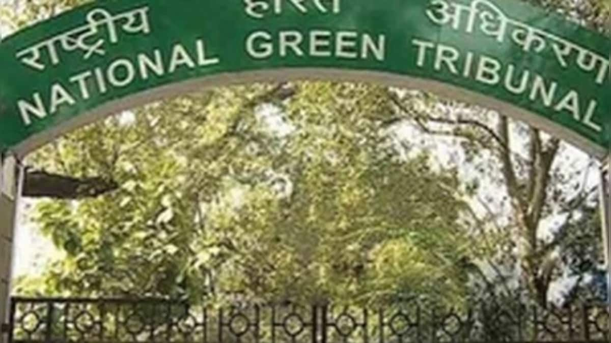 NGT stays concretisation of roadsides in Noida, Greater Noida