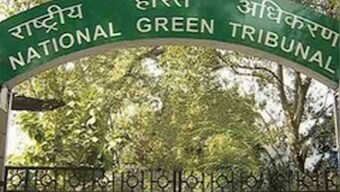 NGT stays concretisation of roadsides in Noida, Greater Noida