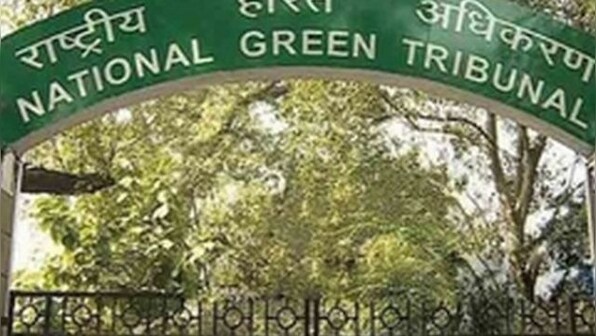 NGT stays concretisation of roadsides in Noida, Greater Noida