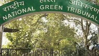 NGT stays concretisation of roadsides in Noida, Greater Noida