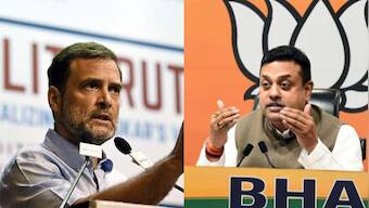 WHO's data and Congress' beta are wrong, says BJP; accuses Rahul Gandhi of doing politics over COVID-19 deaths