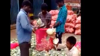 Watch | This video shows why India has no need for 'robotic automation'