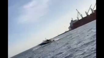 Watch| Giant humpback whale crashes into tourist vessel, four passengers injured