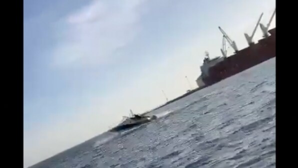 Watch| Giant humpback whale crashes into tourist vessel, four passengers injured
