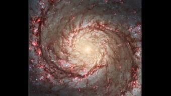 NASA shares image of Whirlpool Galaxy, internet cannot take its eyes off stunning photo