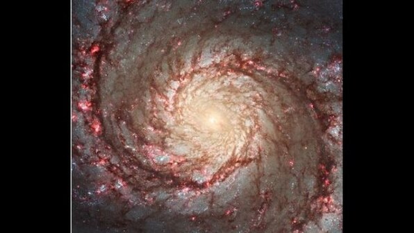 NASA shares image of Whirlpool Galaxy, internet cannot take its eyes off stunning photo