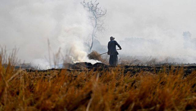 Crop burning is one of the leading causes of air pollution in the country. AFP