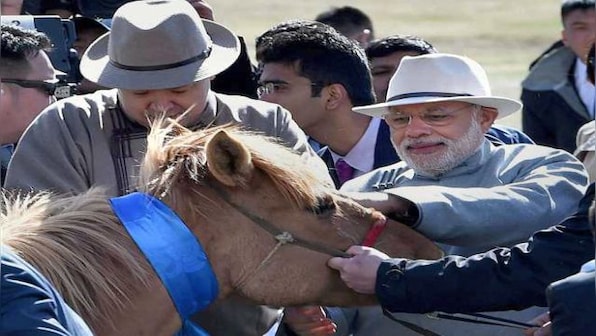 Mongolian horse, potatoes, and sperm whale’s tooth: A guide to gifting by world leaders