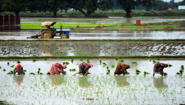 Explained: How early monsoon may bring down India’s inflation heat Explained: How early monsoon may bring down India’s inflation heat
