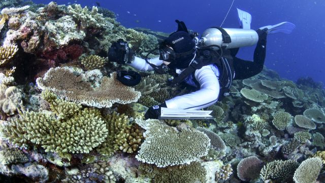 What the new Australian government needs to do as Great Barrier Reef suffers fourth bleaching in seven years What the new Australian government needs to do as Great Barrier Reef suffers fourth bleaching in seven years