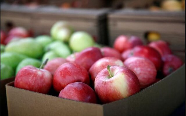 Nutritionist Lovneet Batra lists five healthy foods to add to your diet if you have diabetes or prediabetes Nutritionist Lovneet Batra lists five healthy foods to add to your diet if you have diabetes or prediabetes