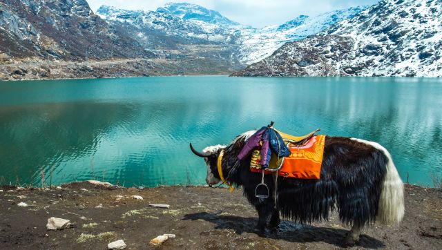 Sikkim Statehood Day: How the Himalayan kingdom became a part of India Sikkim Statehood Day: How the Himalayan kingdom became a part of India