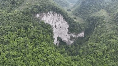 What a wonderful world: A prehistoric forest found of a massive sinkhole in China