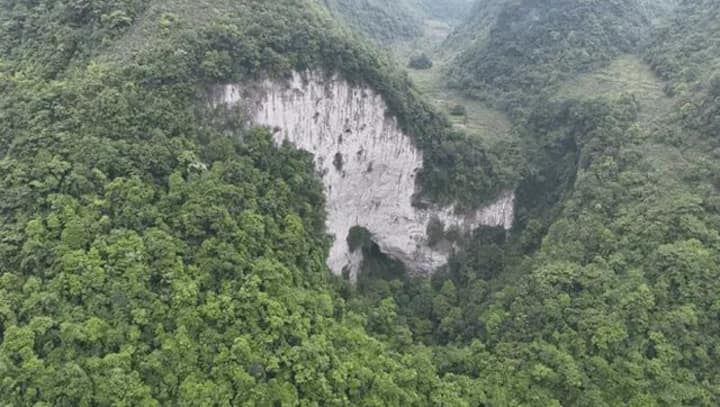 What a wonderful world: A prehistoric forest found of a massive sinkhole in China