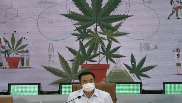 Thailand's Public Health Minister Anutin Charnvirakul said that he wants cannabis plants to be grown as household crops. AP