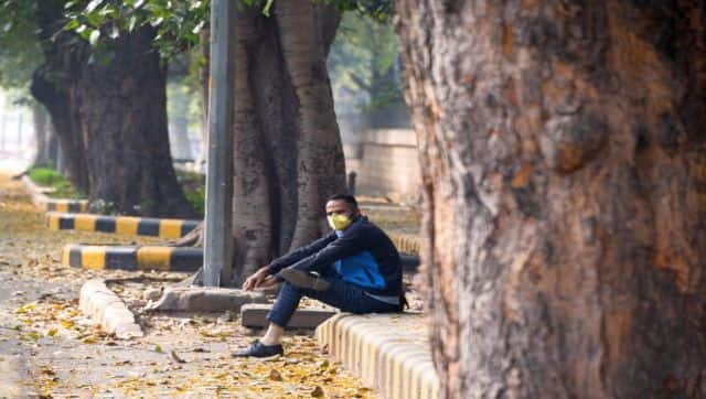 In many cities in India, civic body officials concretise the base around trees along footpaths, which harms the trees and causes their roots to weaken. AFP