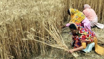 Farmer leaders from Punjab apprehensive about Centre's new committee on minimum support price