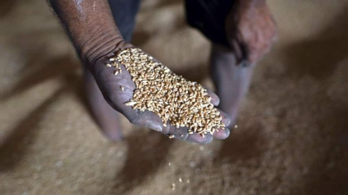 Modi@8: How the government is empowering farmers for golden agriculture sector