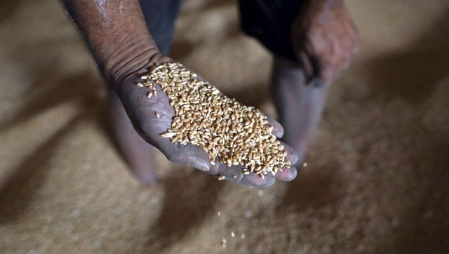 UAE to suspend export of Indian wheat for four months UAE to suspend export of Indian wheat for four months