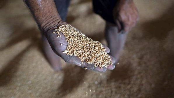 World faces major food crisis: What's the cause? Which countries are most hit?