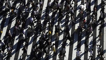 Watch: UP Police promotes road safety with adorable video featuring a deer