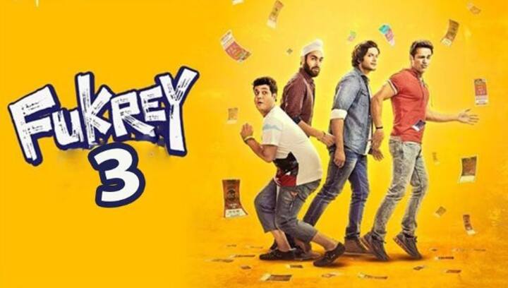 It's a wrap for Fukrey 3; Here's what the director shared
