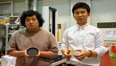 Hansel and Gretel-style gingerbread house in offing? Japan's scientists turn cabbage into concrete