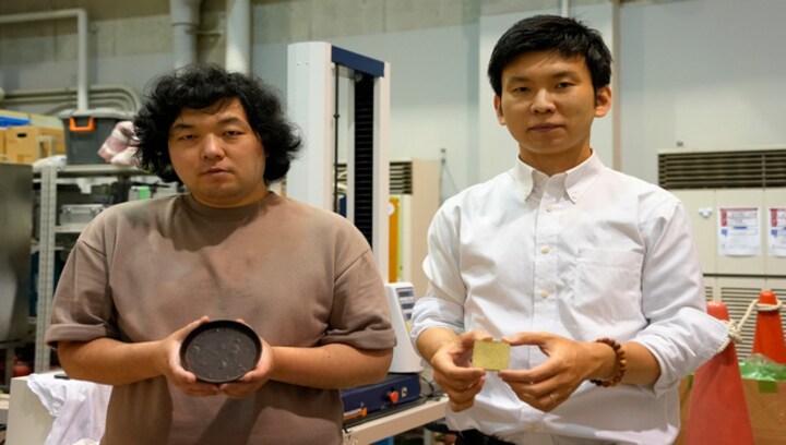Hansel and Gretel-style gingerbread house in offing? Japan's scientists turn cabbage into concrete