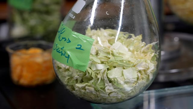 Chinese cabbage being dried is seen in glass flask at the laboratory of Tokyo University in Tokyo. AP Photo/Chisato Tanaka