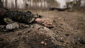 Russia controls 20% of Ukraine, says Volodymyr Zelensky as war enters 100th day today